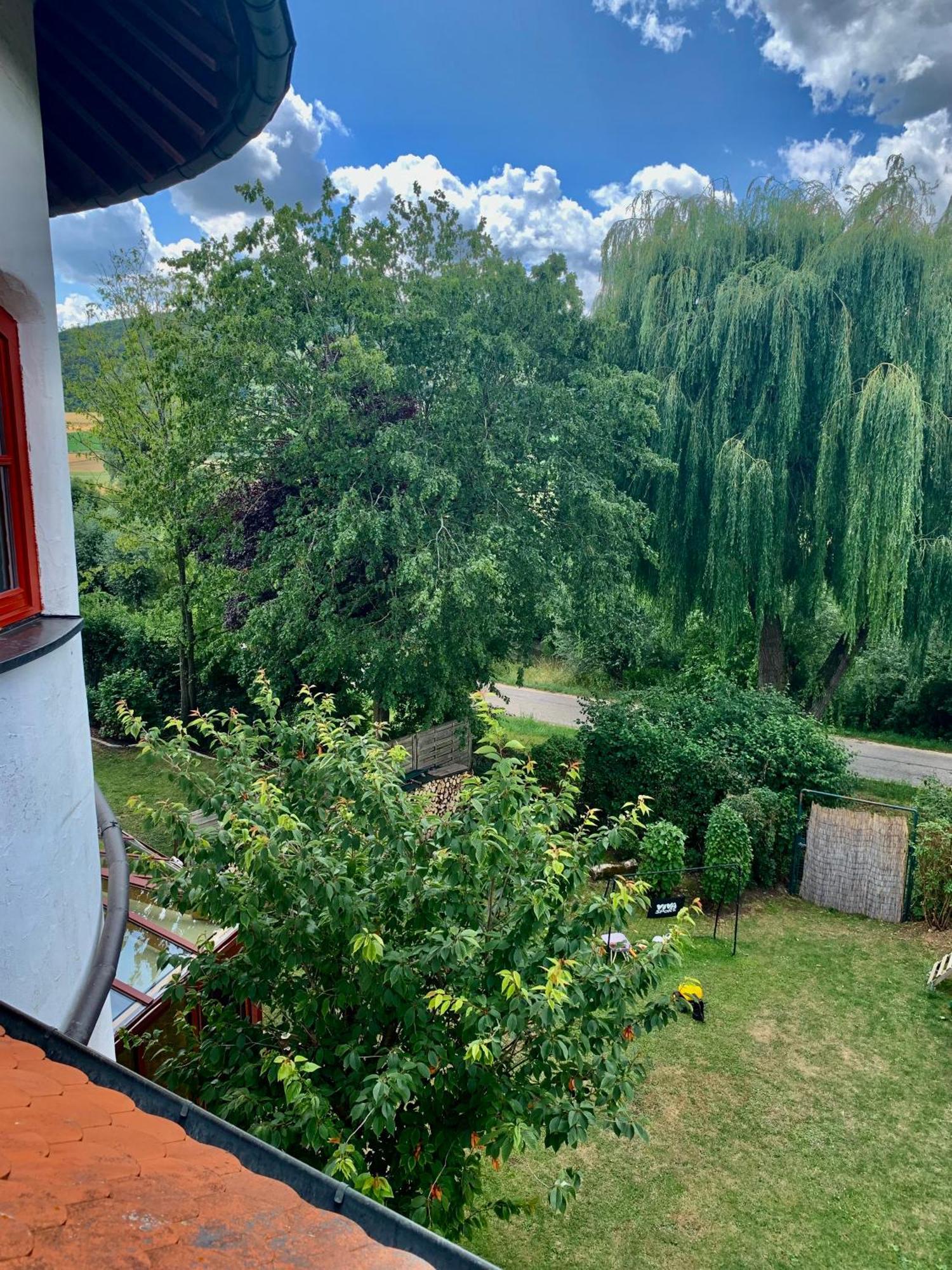 Altmuehl Familienvilla Treuchtlingen Esterno foto