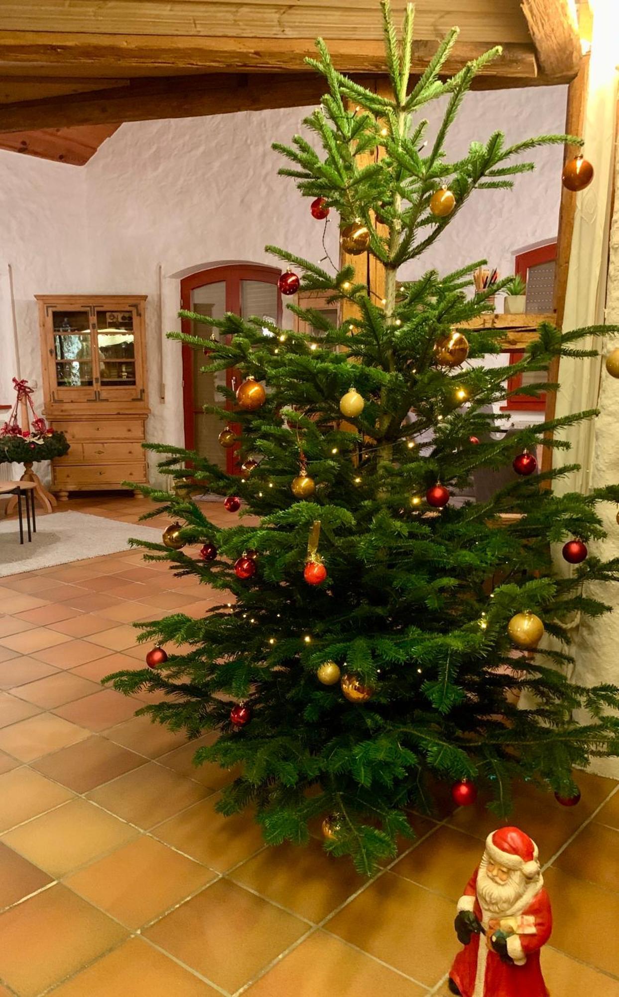 Altmuehl Familienvilla Treuchtlingen Esterno foto